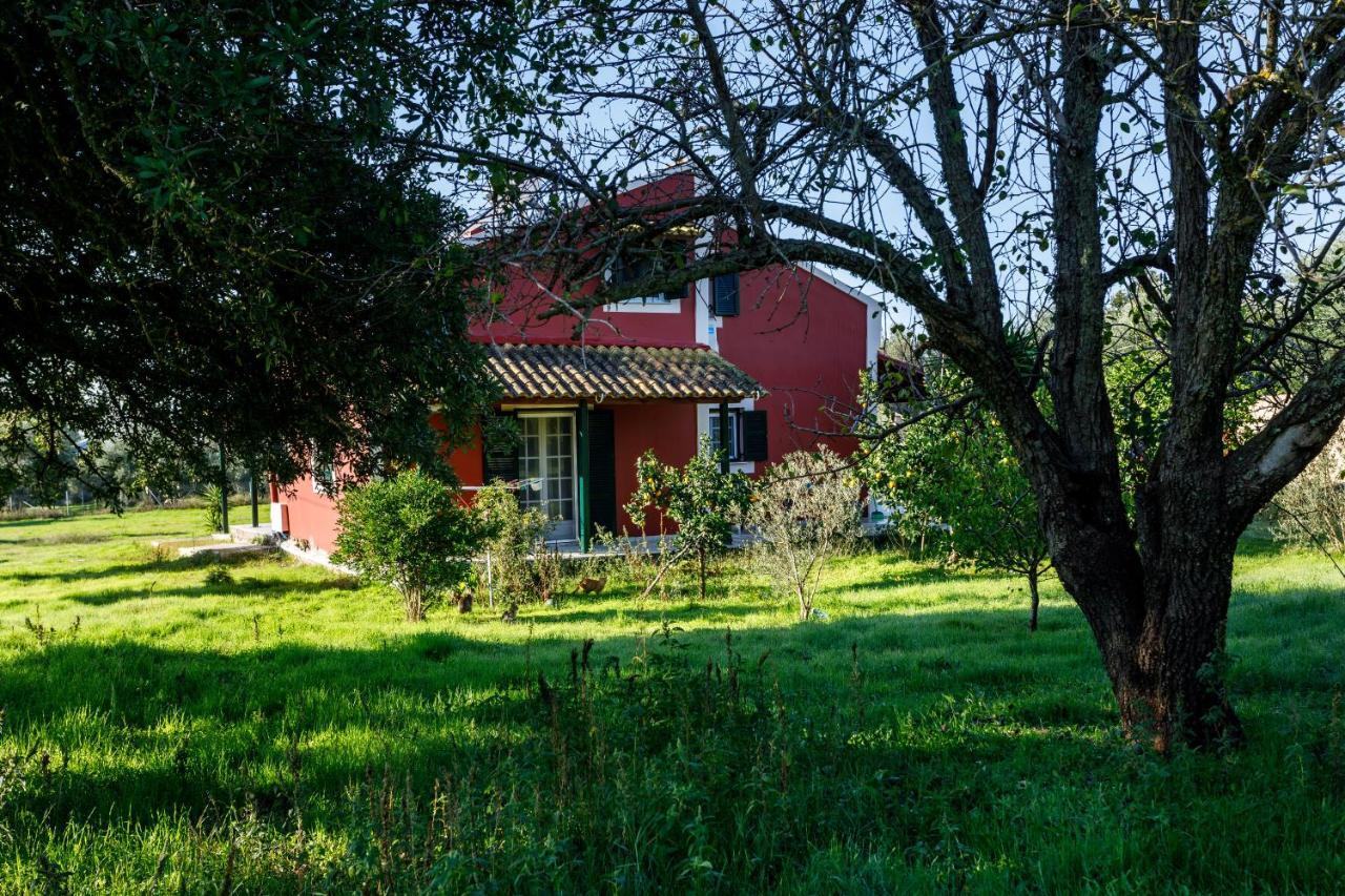 Fridas Place Halikounas Bagian luar foto
